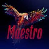 Maestro